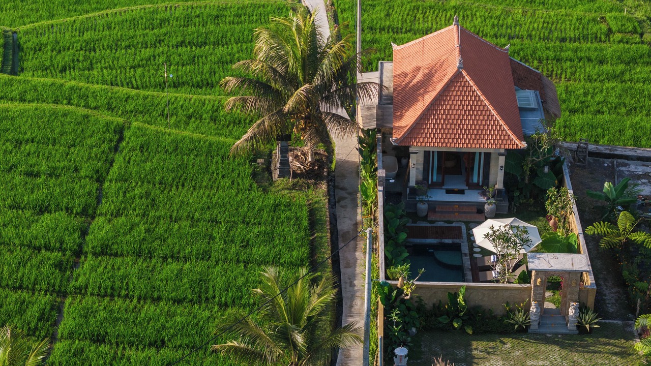 Photo of Outdoor in Sebatu