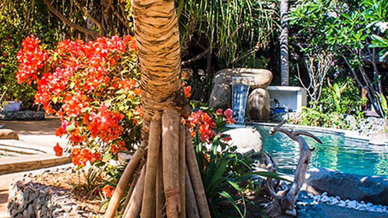 Photo of Outdoor in Gili Air