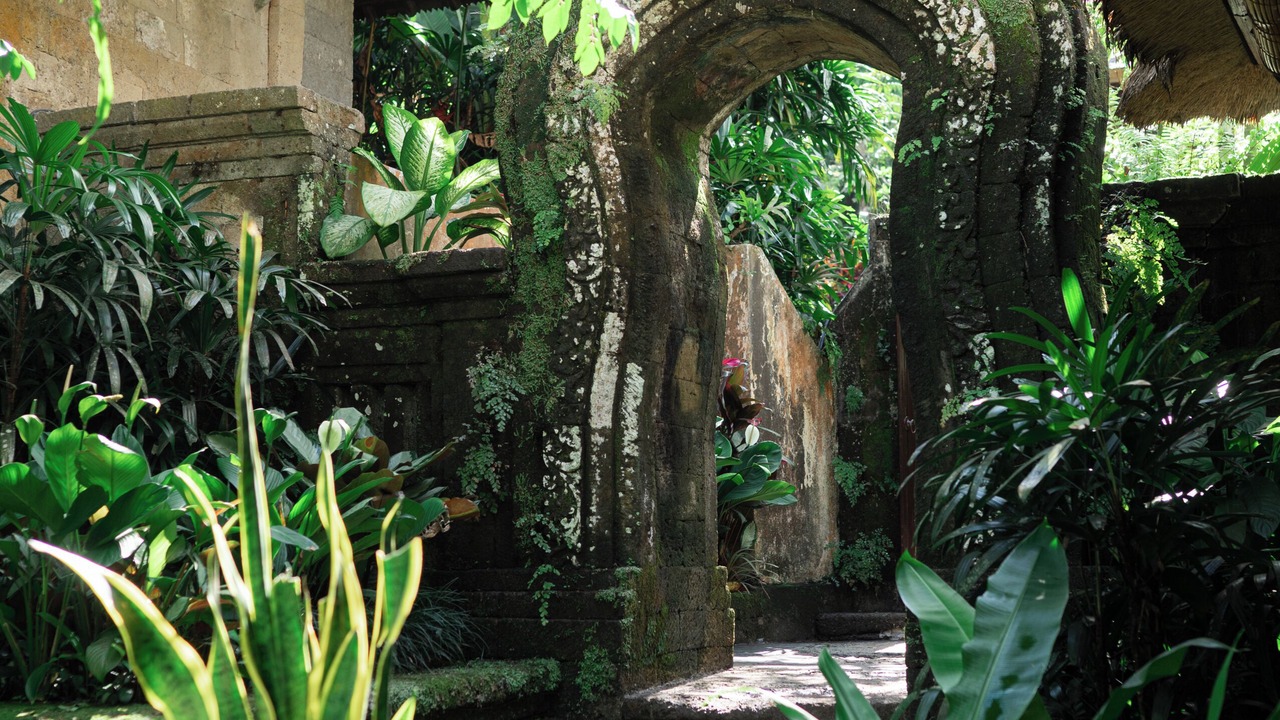 Photo of Others in Ubud