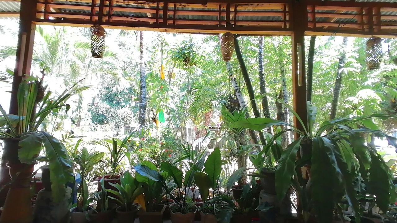 Photo of Outdoor in Bitung