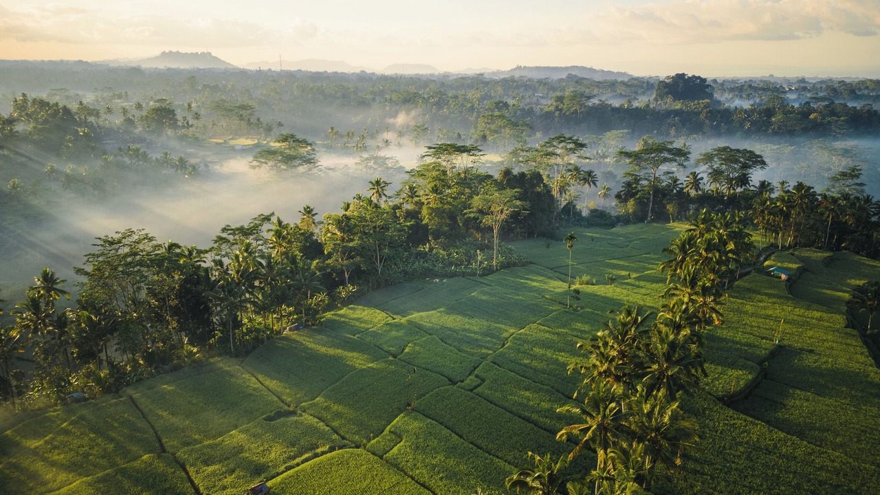 Photo of Others in Mas