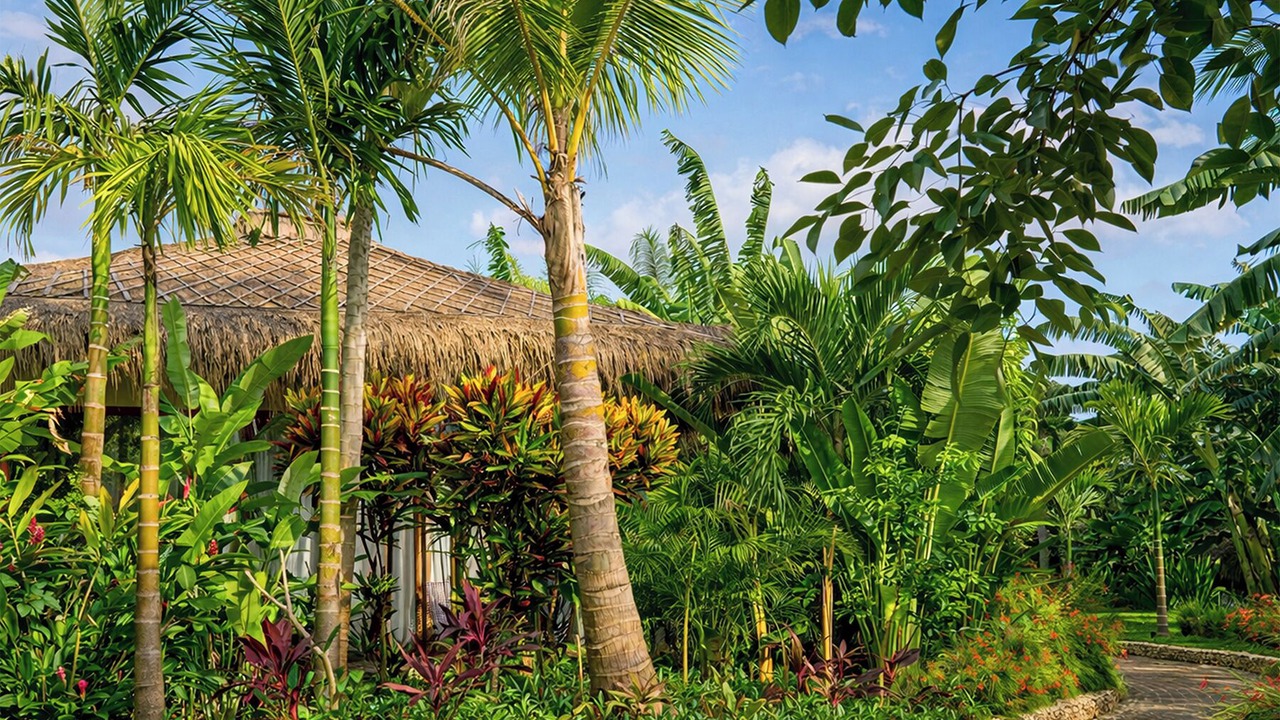Photo of Outdoor in Southwest Sumba