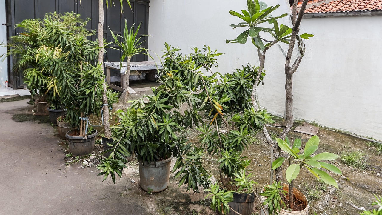 Photo of Outdoor in Ciledug