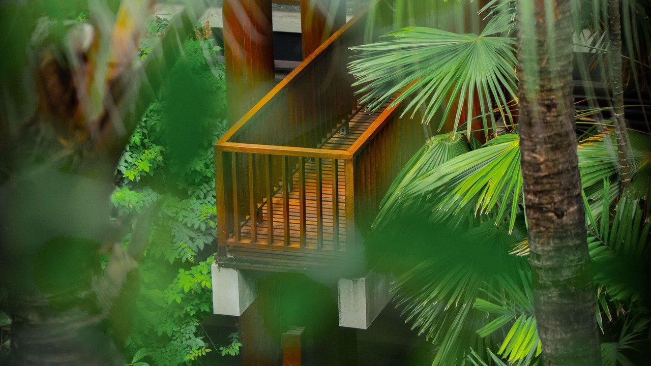 Photo of Outdoor in Downtown Kuta