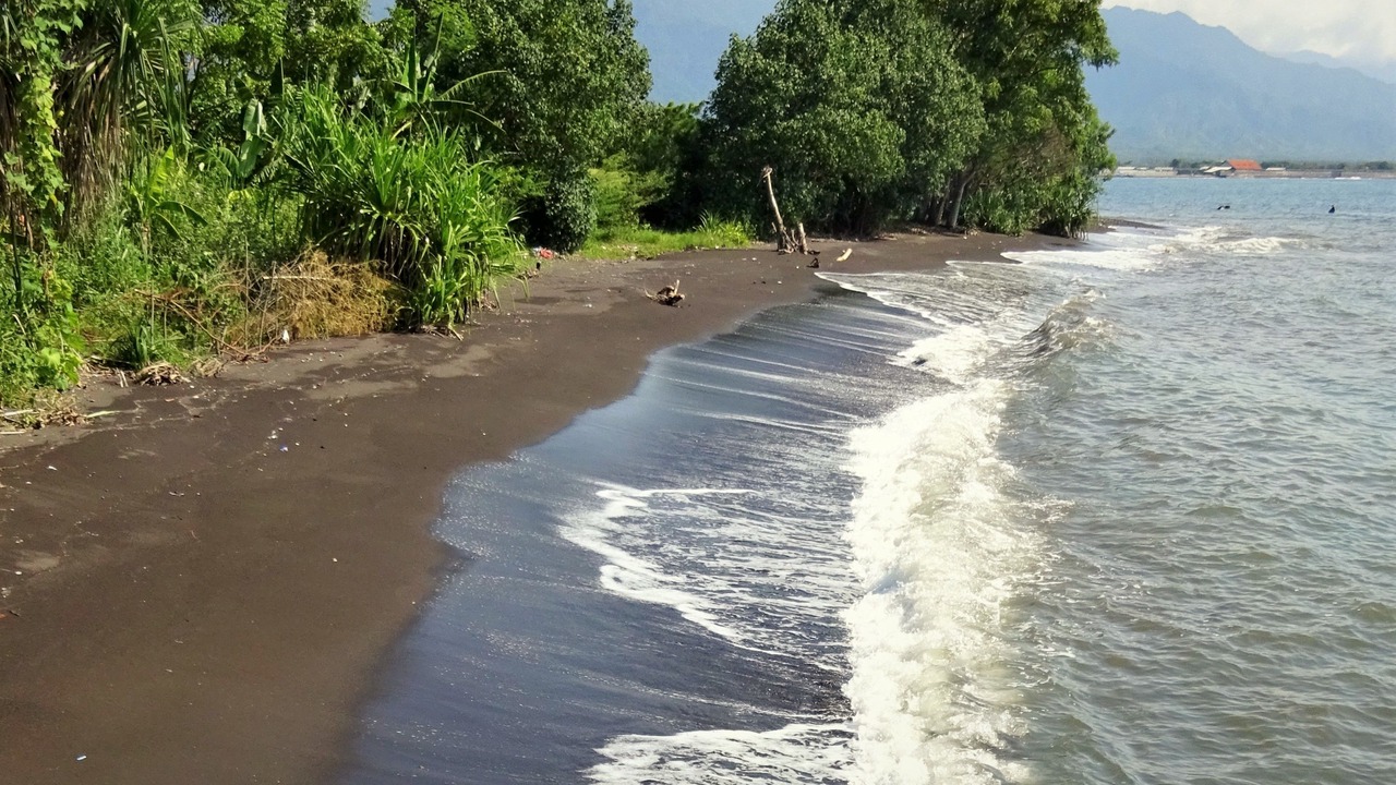 Photo of Others in Umeanyar