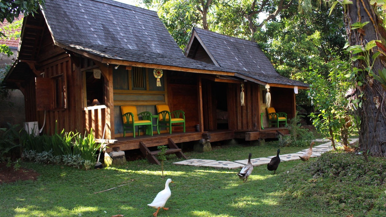 Photo of Outdoor in Lovina
