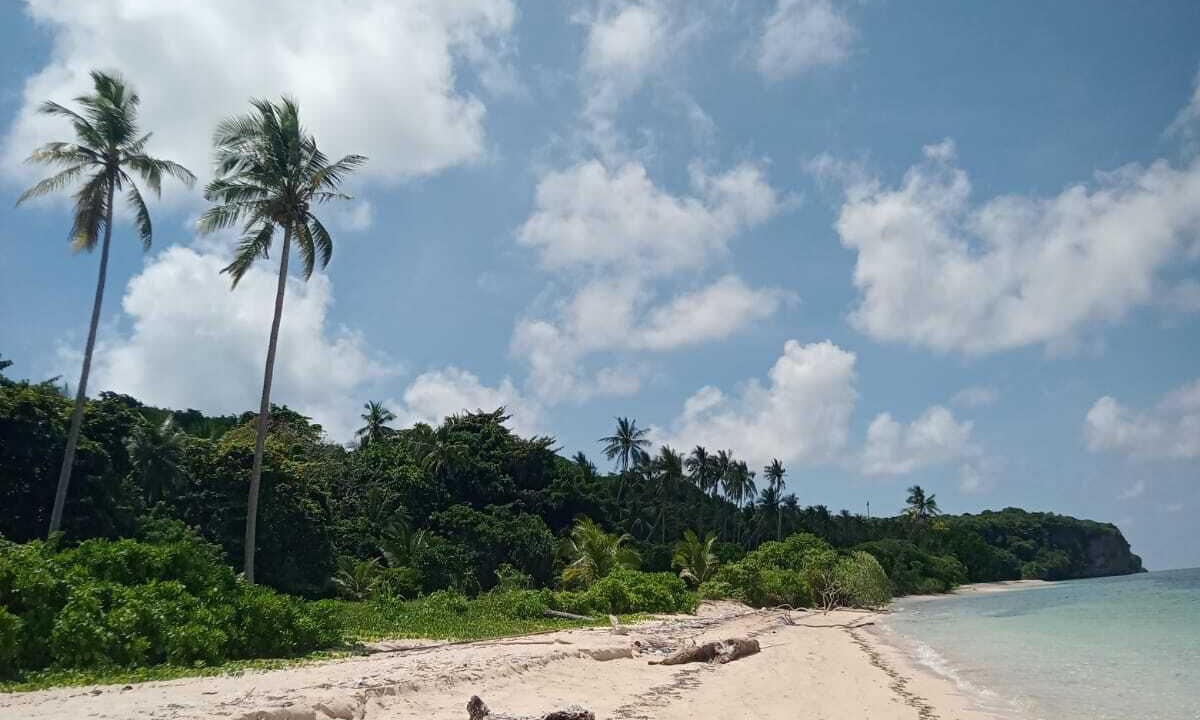 Photo of Others in Tomia Island