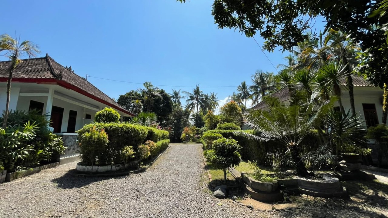 Photo of Outdoor in Negara