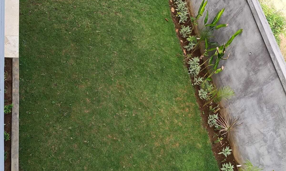 Photo of Outdoor in BTDC