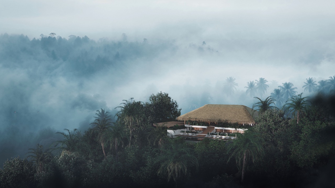 Photo of Outdoor in Taro