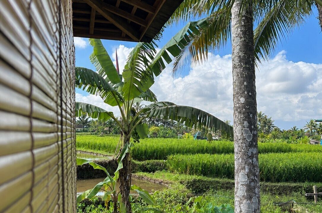Photo of Outdoor in Sambahan