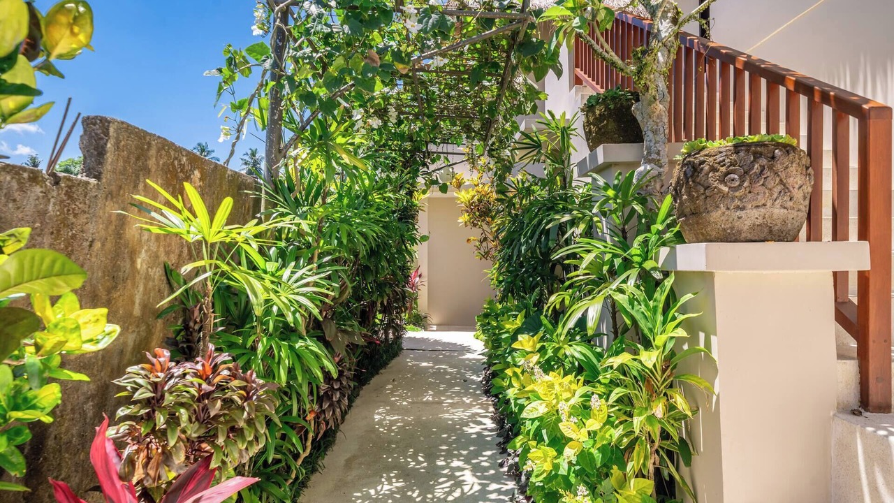 Photo of Outdoor in Ubud