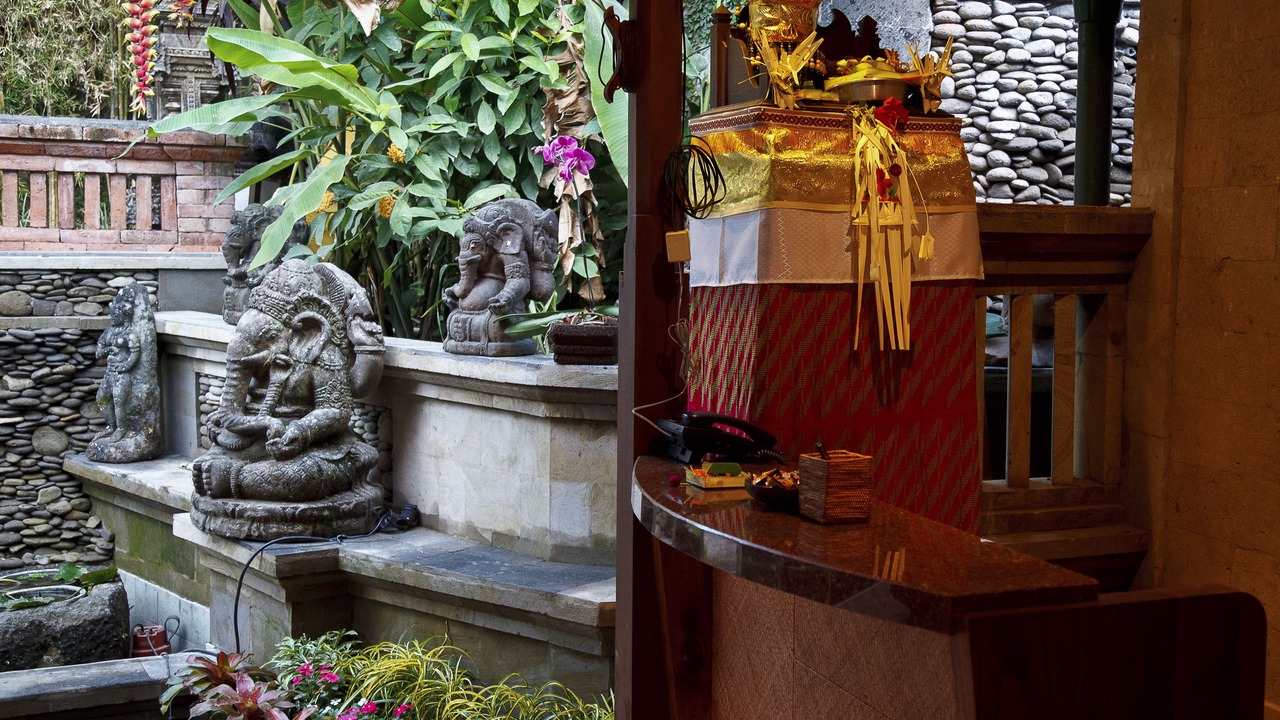 Photo of Others in Ubud City-Centre
