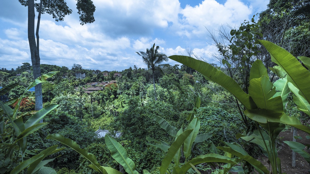 Photo of Bedroom in Ubud City-Centre