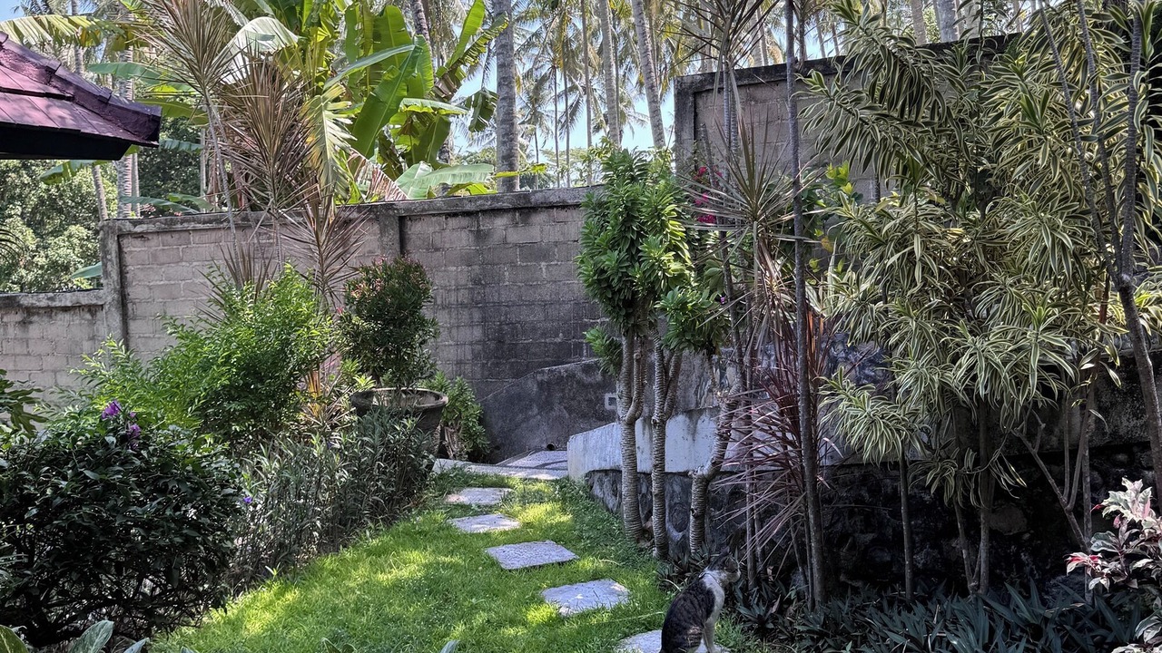 Photo of Outdoor in Senggigi