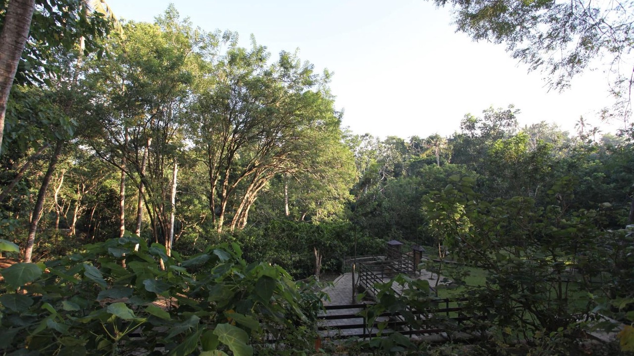 Photo of Outdoor in Nyuh Kuning