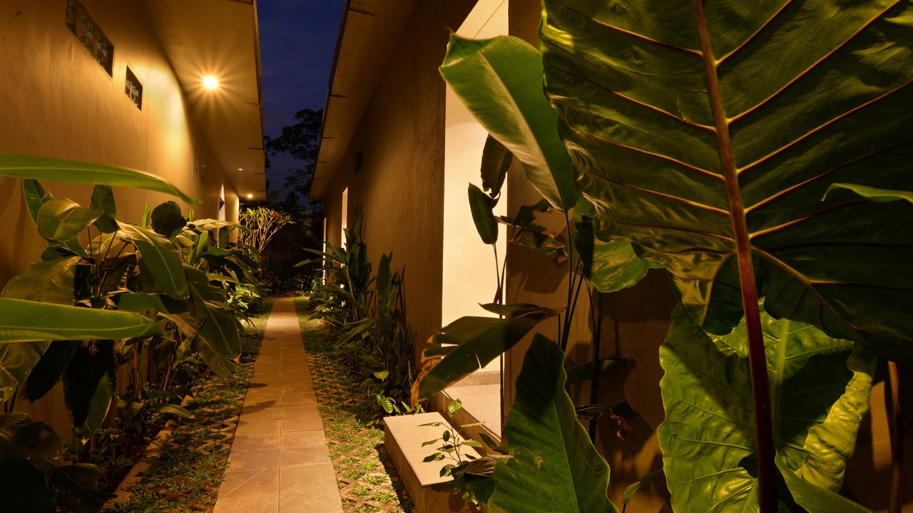 Photo of Outdoor in Nyuh Kuning