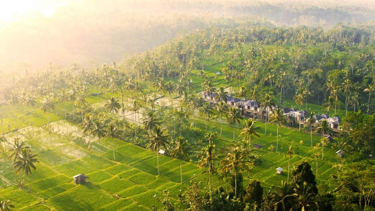 Photo of Outdoor in Sebatu