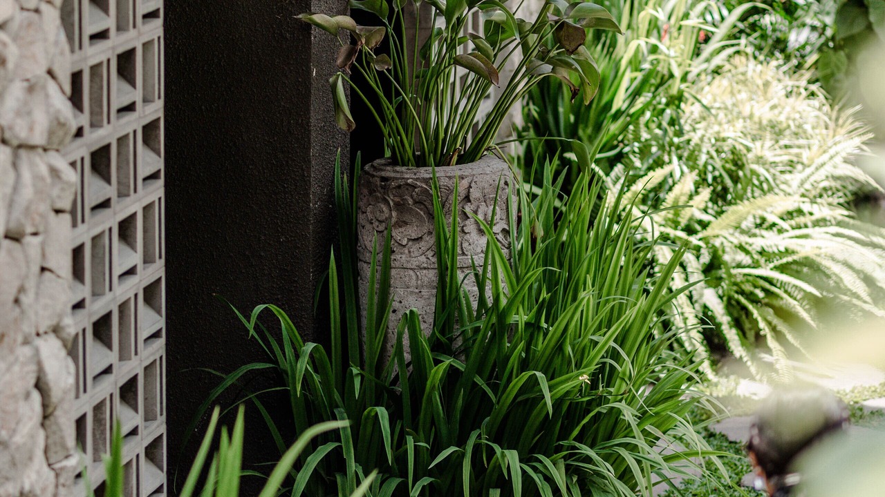 Photo of Outdoor in Ubud