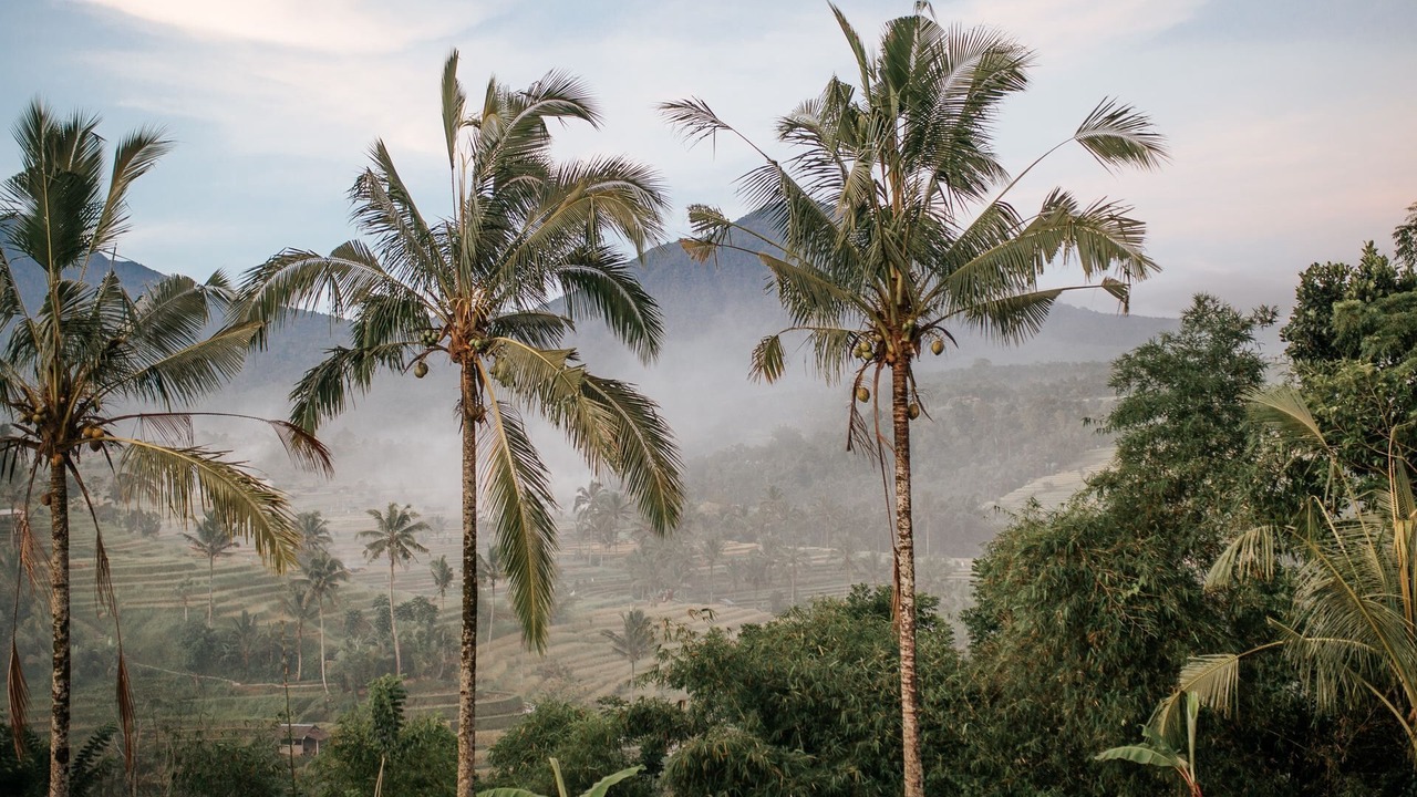 Photo of Outdoor in Batu Bolong