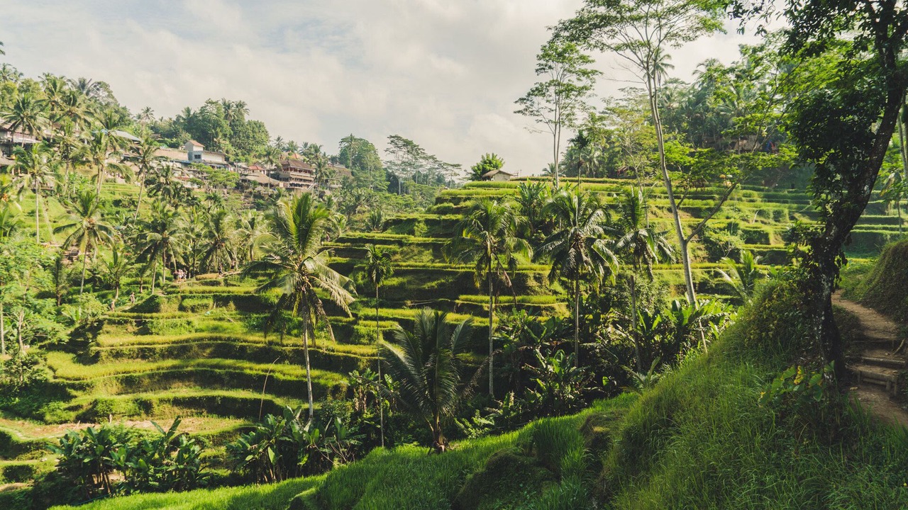 Photo of Outdoor in Batu Bolong
