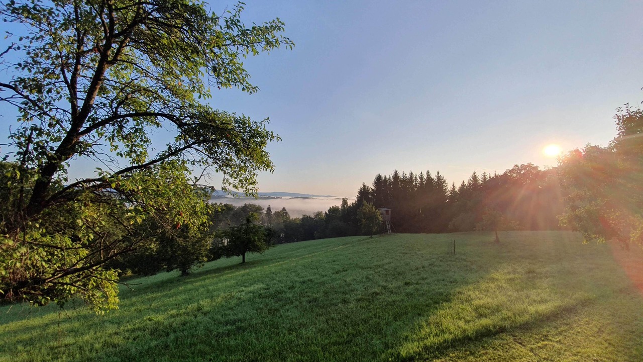 Photo of Outdoor in Sankt Margarethen an der Raab