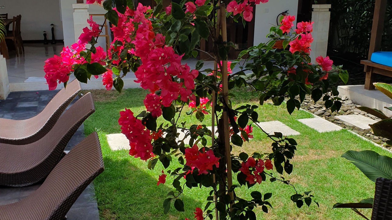 Photo of Patio Balcony in Drupadi