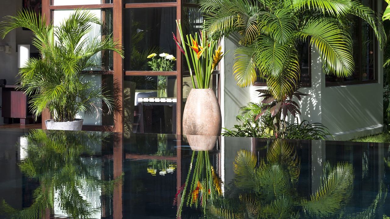 Photo of Outdoor in Munggu