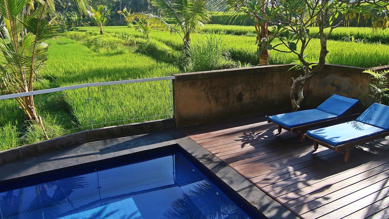 Photo of Outdoor in Pejeng Kawan
