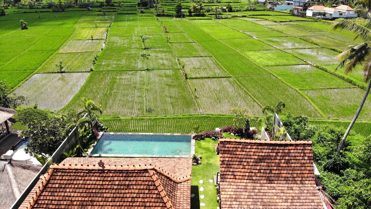 Photo of Outdoor in Kemenuh