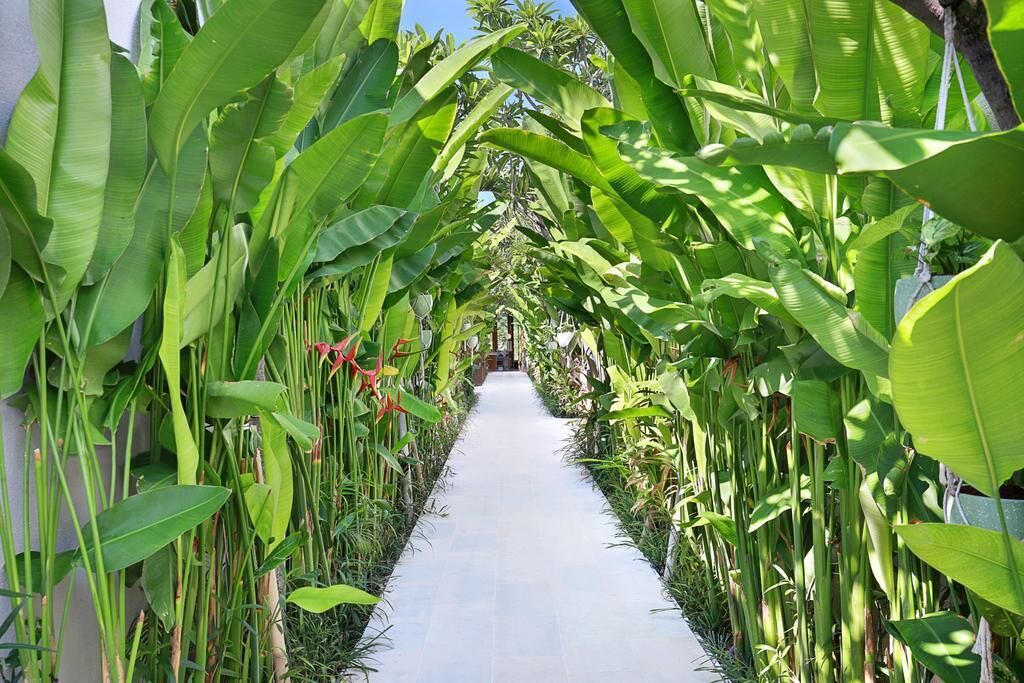 Photo of Outdoor in Denpasar Barat
