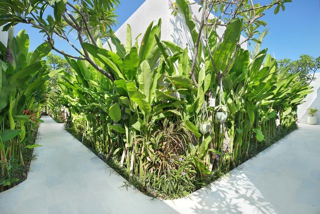 Photo of Outdoor in Denpasar Barat