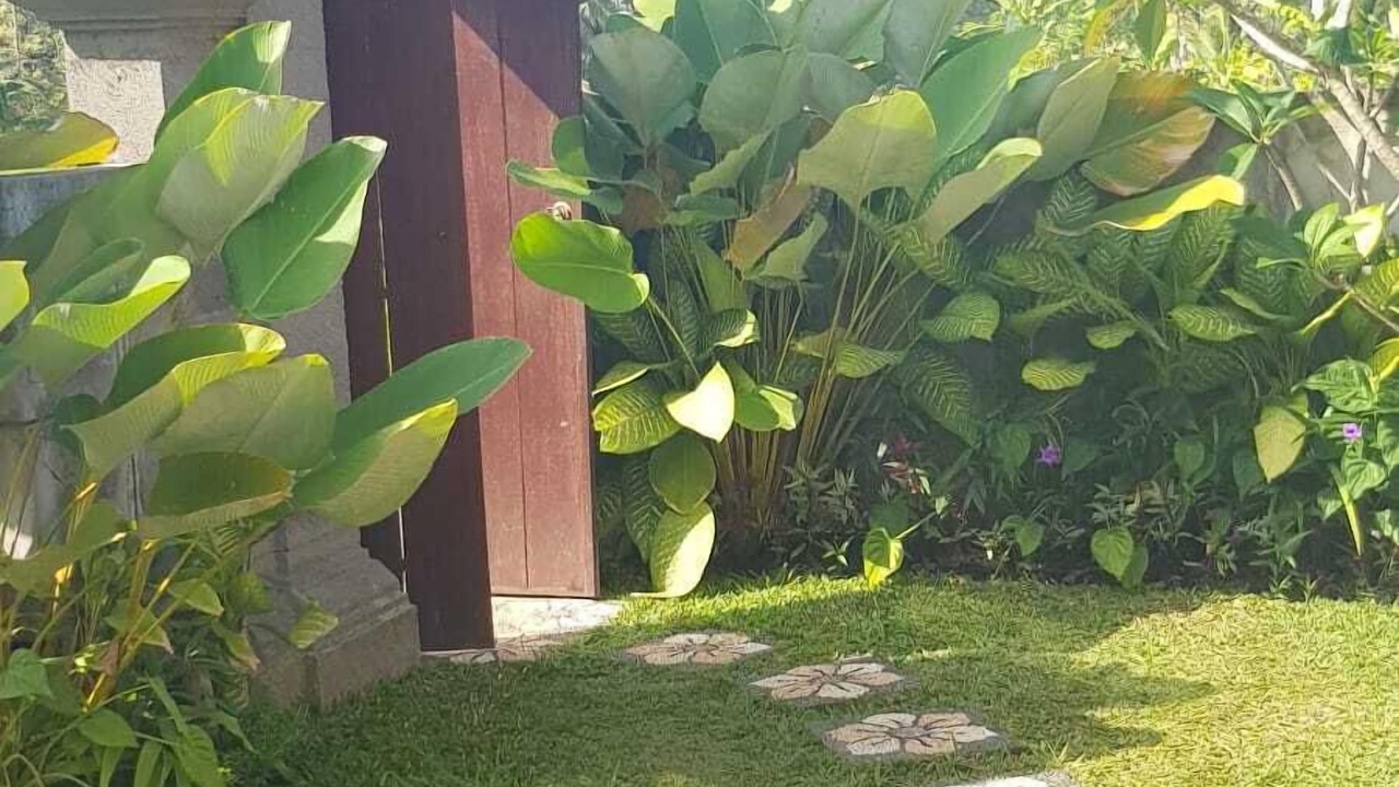 Photo of Outdoor in Ubud City-Centre