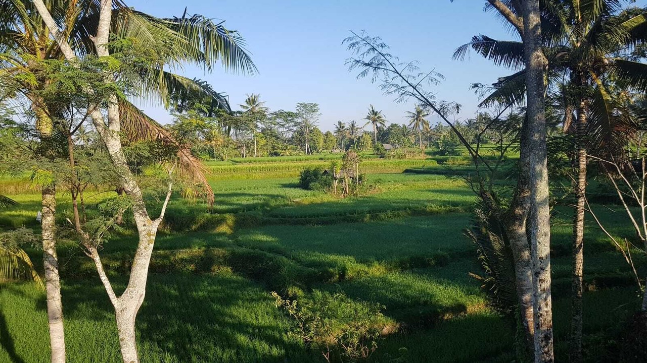 Photo of Outdoor in Ubud City-Centre