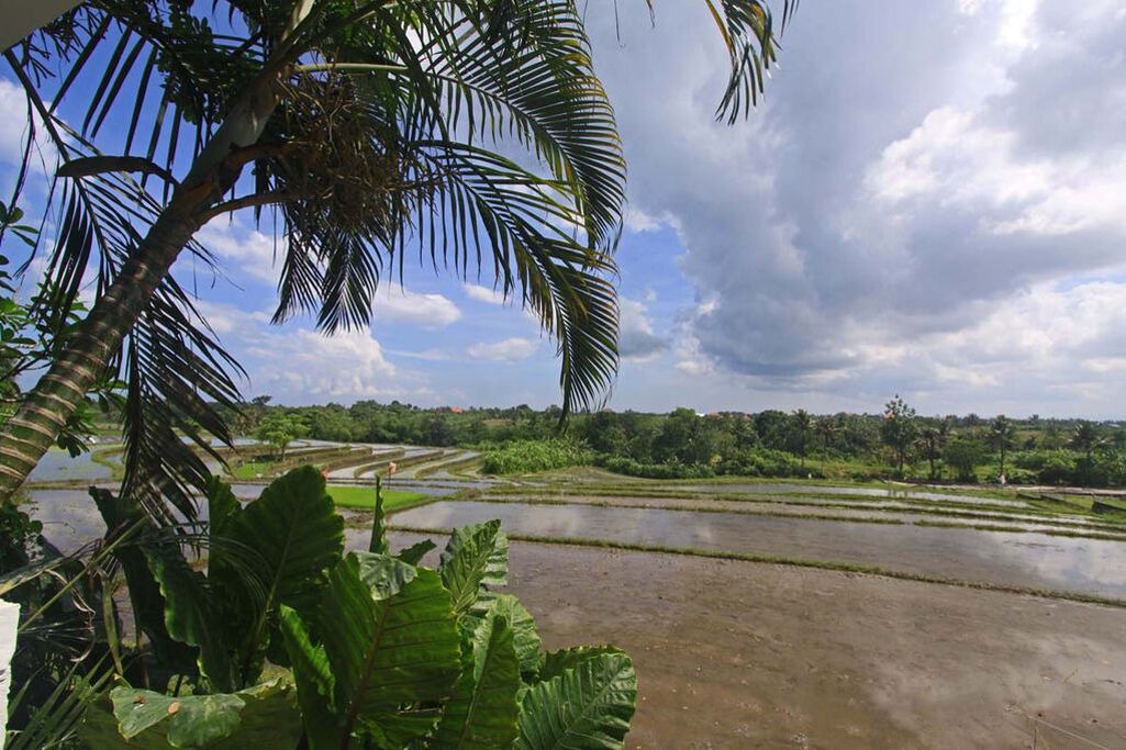 Photo of Outdoor in Pererenan