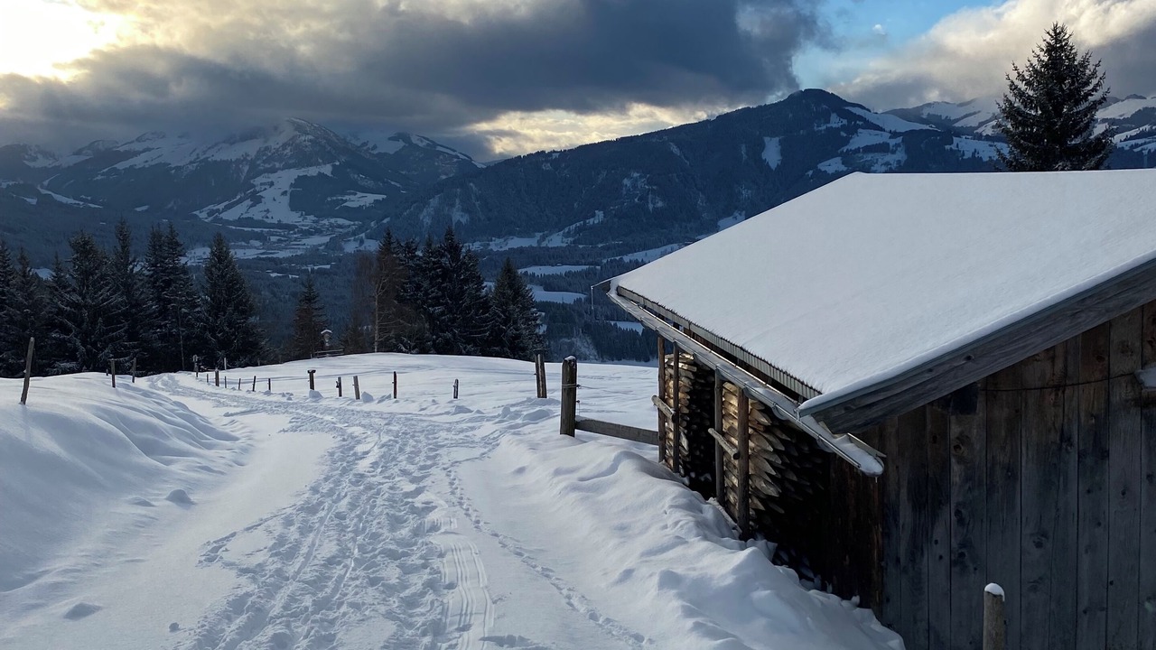 Photo of Others in Oberndorf in Tirol