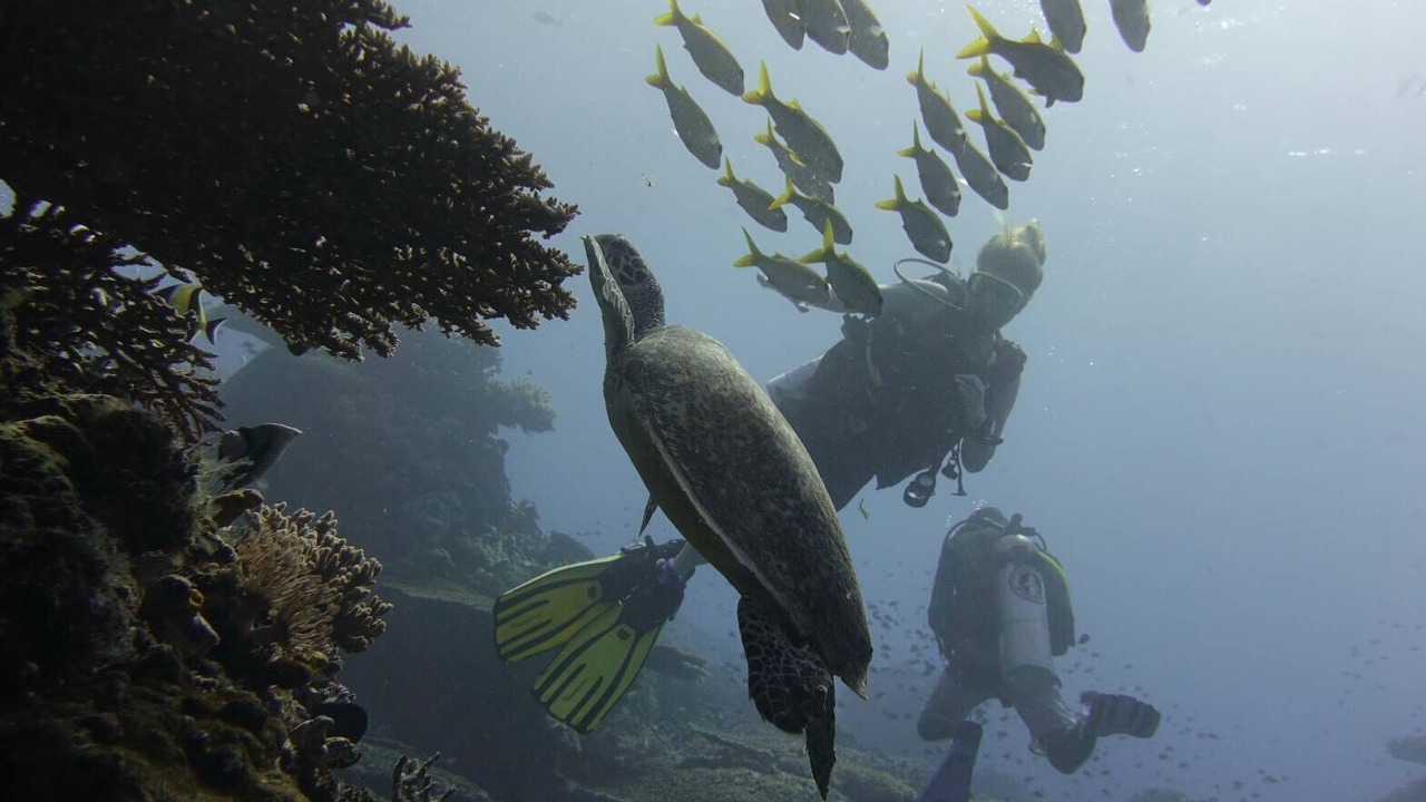 Photo of Others in Labuan Bajo