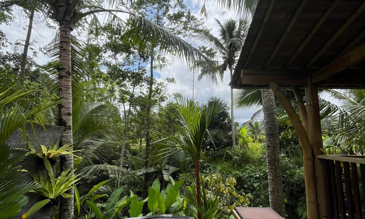 Photo of Outdoor in Selat
