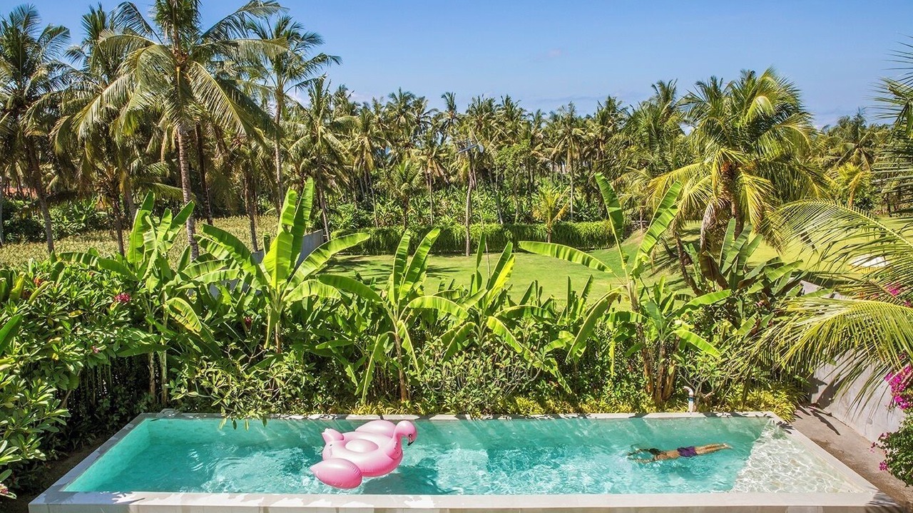Photo of Outdoor in Saba