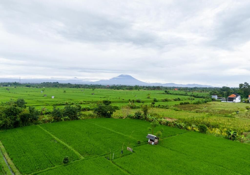 Photo of Others in Sukawati