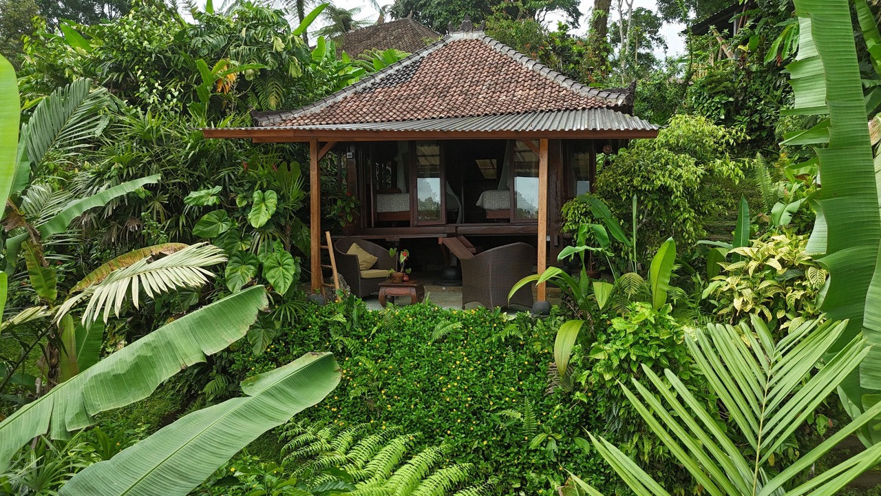 Photo of Outdoor in Selemadeg