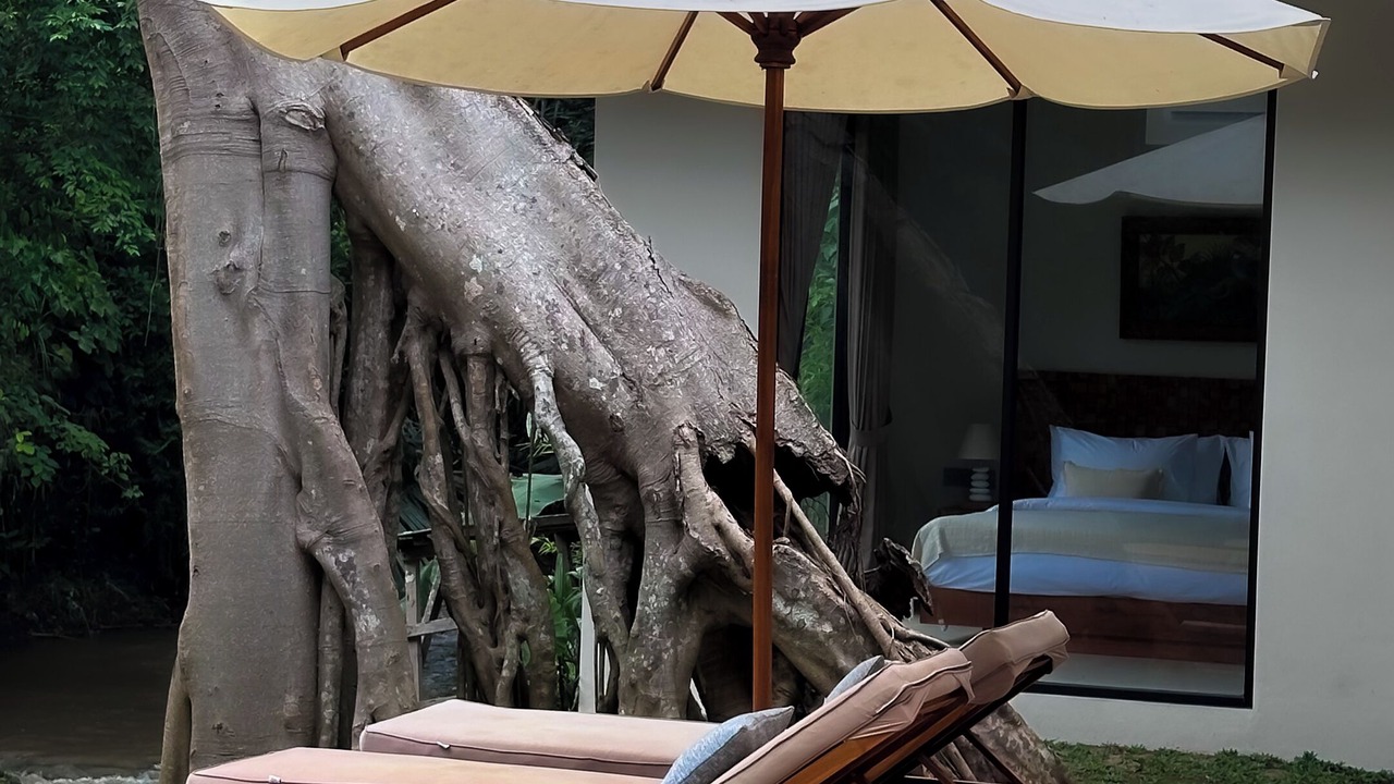 Photo of Outdoor in Singapadu Tengah