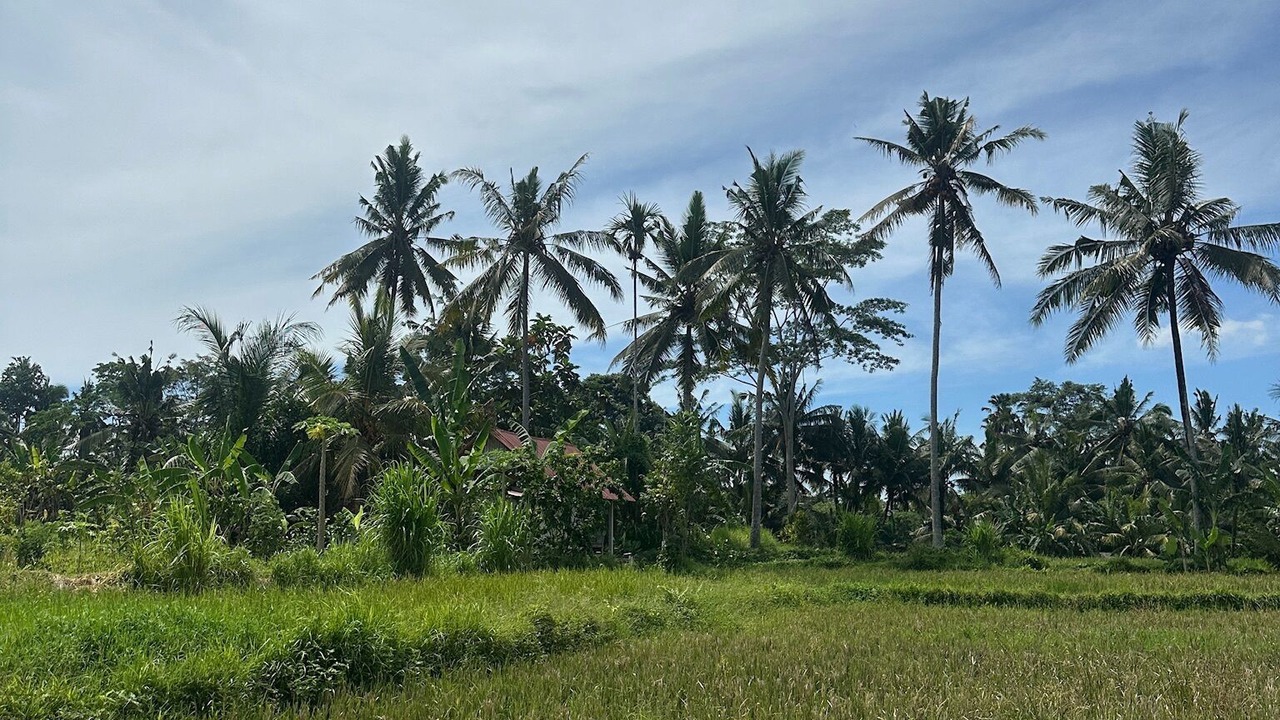 Photo of Others in Melayang