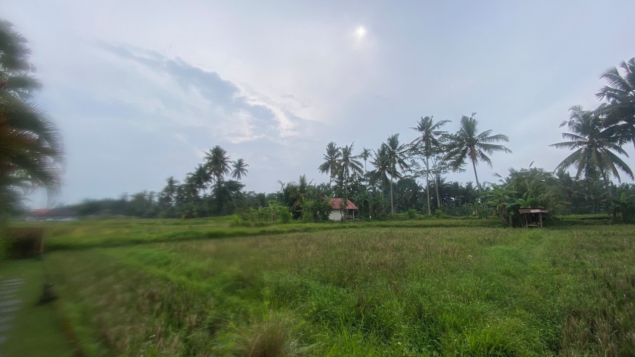 Photo of Others in Melayang
