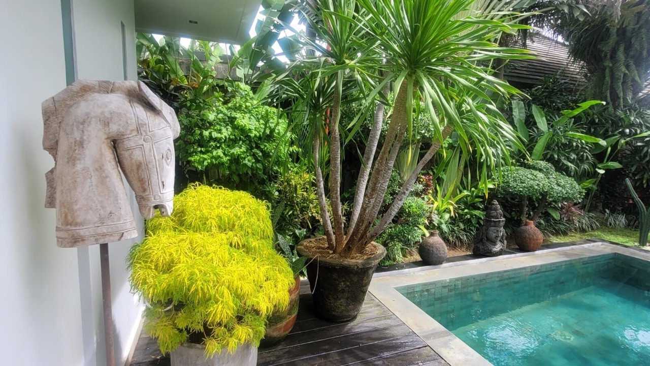 Photo of Outdoor in Sunset Road