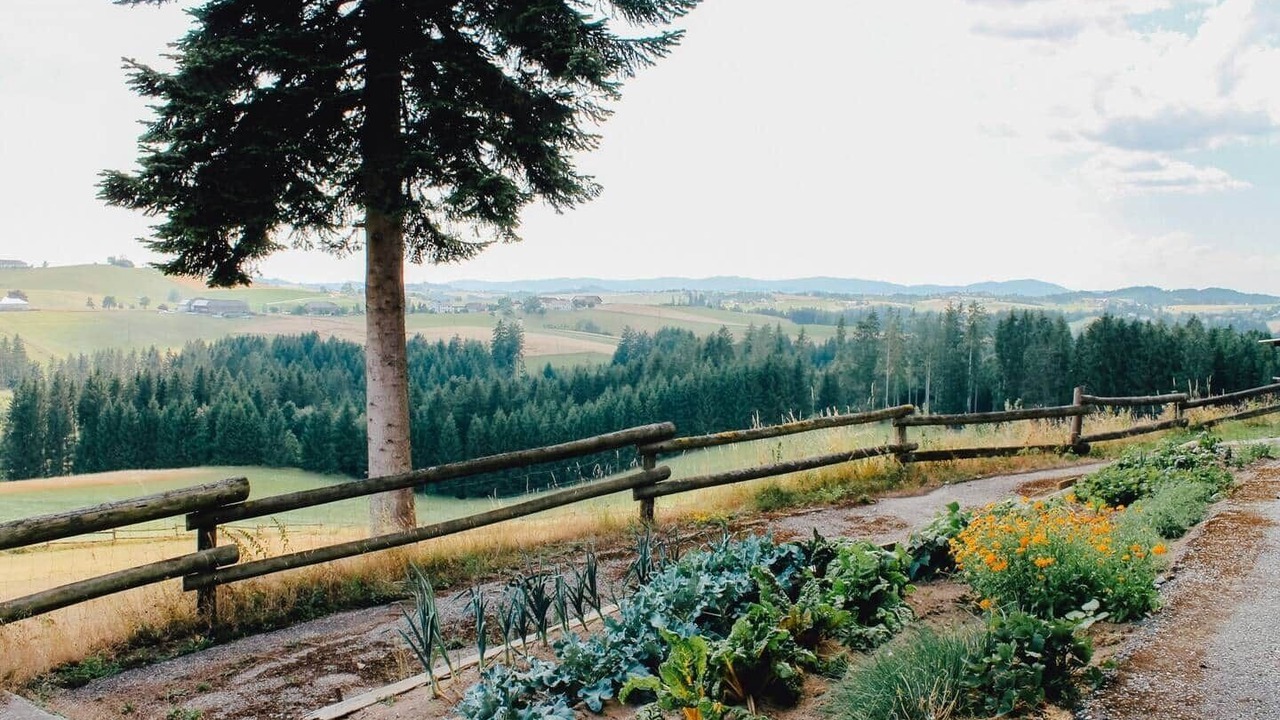 Photo of Outdoor in Auberg