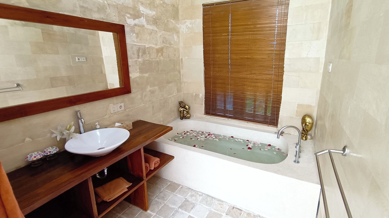 Photo of Bathroom in Dyanapura