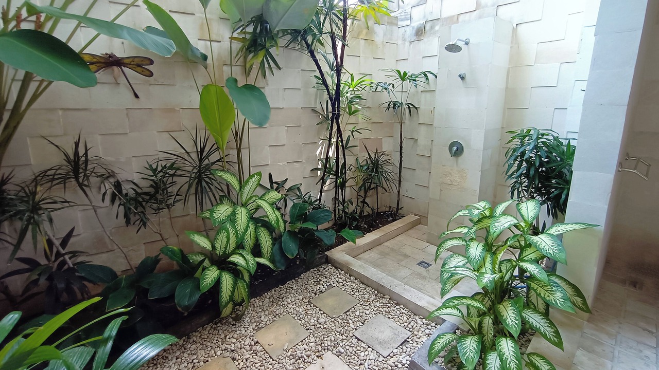 Photo of Outdoor in Dyanapura