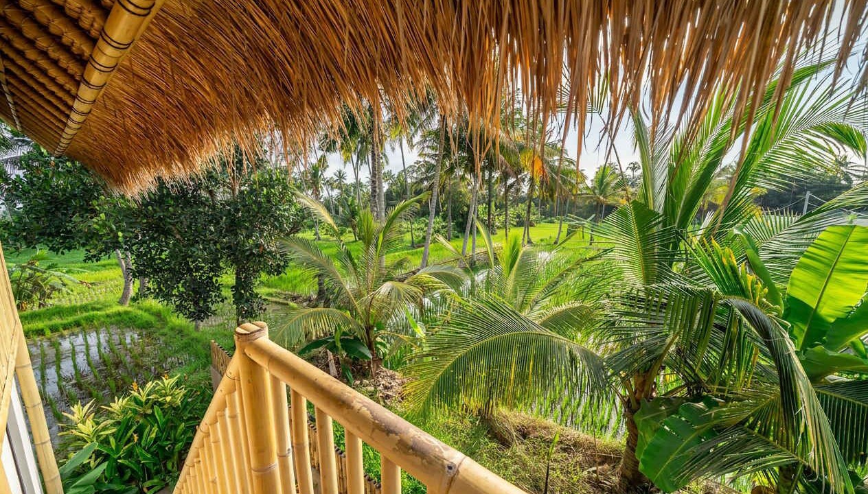 Photo of Outdoor in Pejeng Kawan