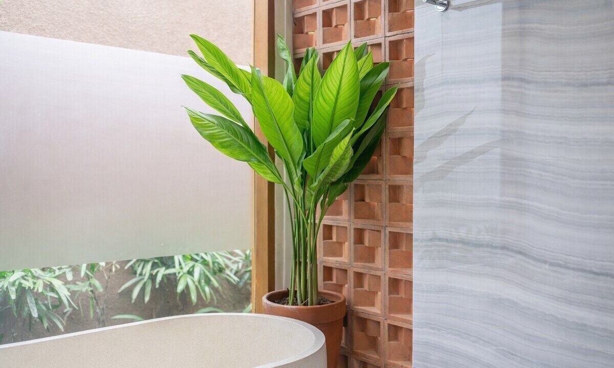 Photo of Bathroom in Umalas